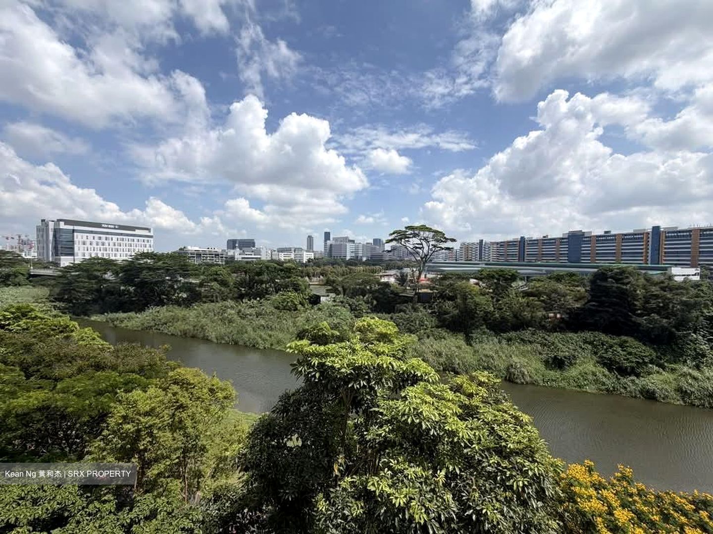 Faber Walk (D5), Condominium #602262801